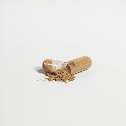 Liver Support by Project M