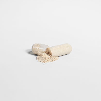 Nootropic Brain & Focus Formula by Project M